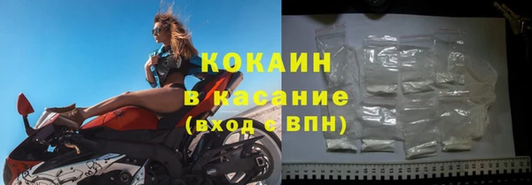 сатива Кукмор