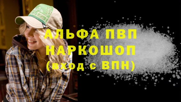 сатива Кукмор