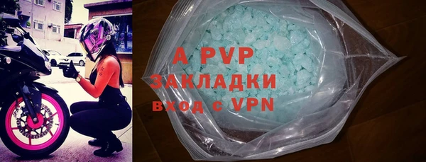сатива Кукмор