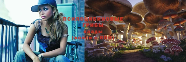 сатива Кукмор