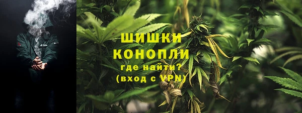 амф Кулебаки