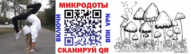 сколько стоит  Ялта  Псилоцибиновые грибы Psilocybine cubensis 